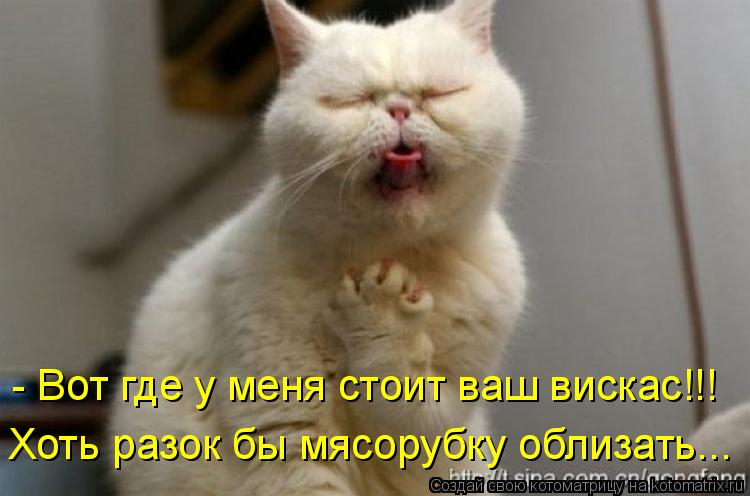 http://www.zaz.kiev.ua/forum/gallery/photobase/00019/00019-1310154044-969.jpg